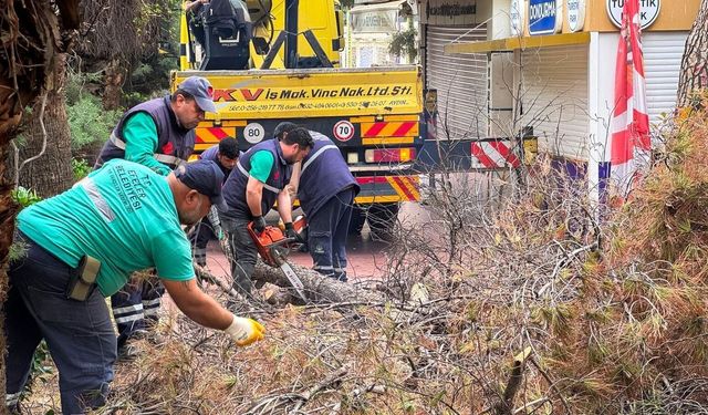 Efeler Belediyesi'nin ekipleri çalışıyor