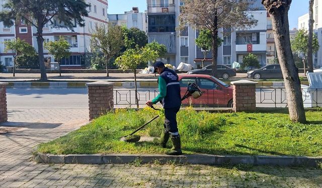 Efeler'in yeşil alanlarında bakım çalışmaları devam ediyor