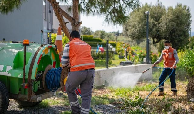 Güzelçamlı'dan Kuştur'a kıyı şeridine yoğun mesai