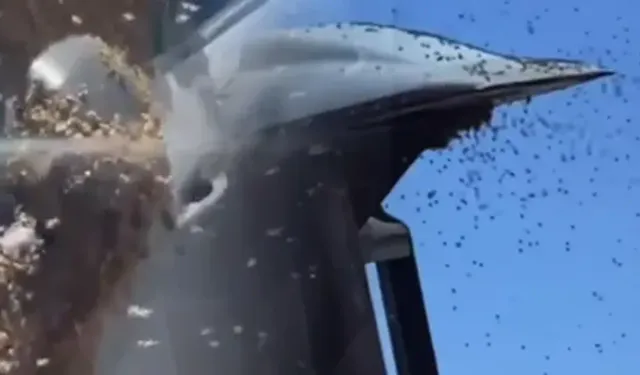 İsrail'de dev arı sürüleri hava trafiğini durdurdu