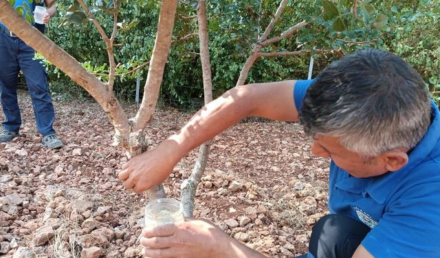 Kırsalda üretim ve dayanışma büyüyor
