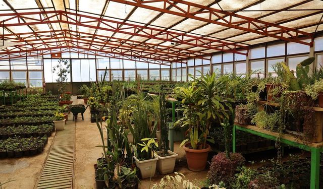 Milyonluk tasarrufun adresi: Marmaris