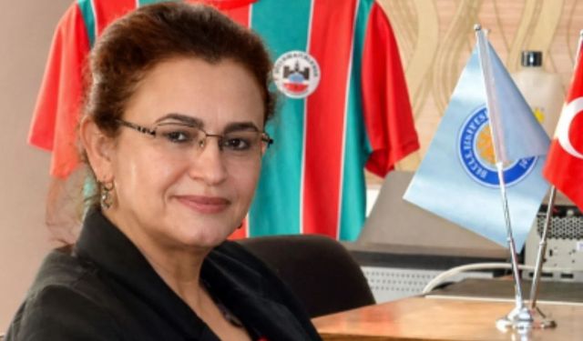 Sınırdan gelen yorgun mermi profesörü yaraladı