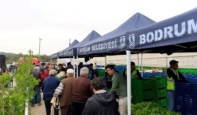 'Üreten Bodrum Buluşması' geniş katılımla gerçekleşti