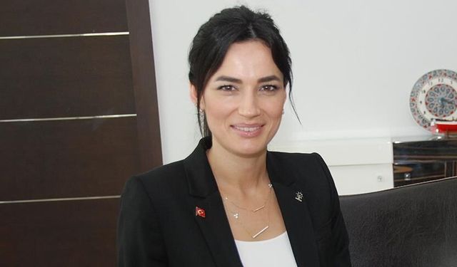 AKP'li vekil Sarıbaş'ın oğlu hakkında silah iddiası