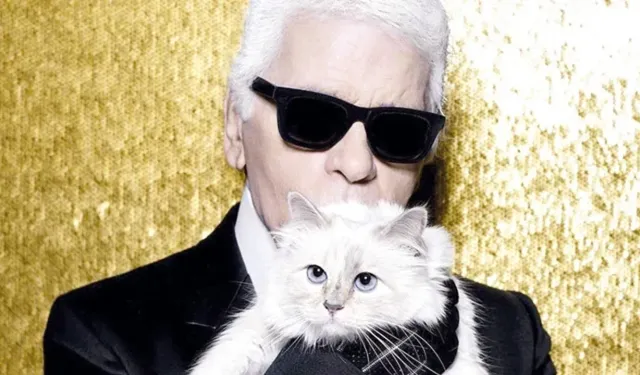 Lagerfeld'in kedisi mirasını 7 yıldır alamadı