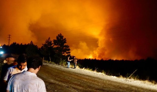 Çanakkale'de orman yangınlarına karşı dikkat çekildi