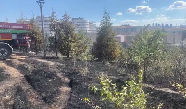 ODTÜ Ormanı'ndaki yangın büyümeden söndürüldü