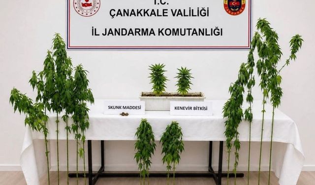 Çanakkale'de 3 ilçede uyuştur*cu operasyonu