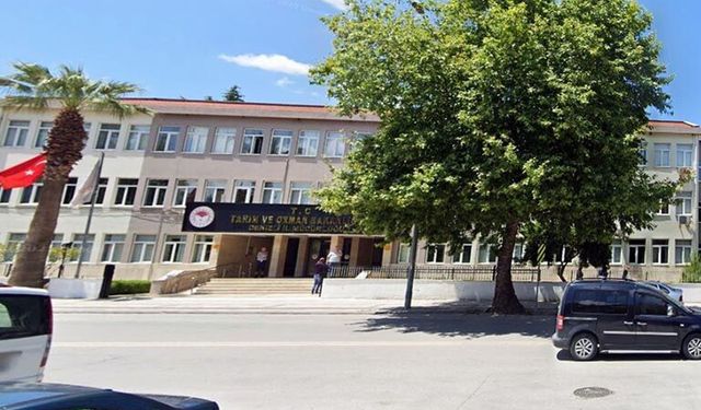 Denizli ithalat kontrollerinde söz sahibi oldu