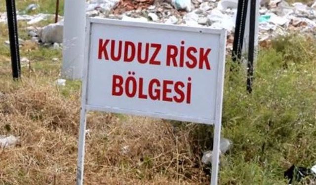 Diyarbakır'da Kuduz Alarmı: 4 Yaşındaki Çocuk Entübe Edildi