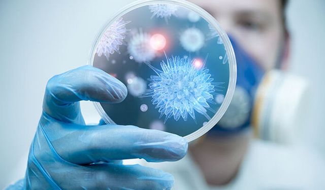 İngiltere'de salmonella alarmı: 207 vaka, 1 can kaybı