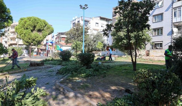 Buca'nın yeşil alanlarına sonbahar bakımı