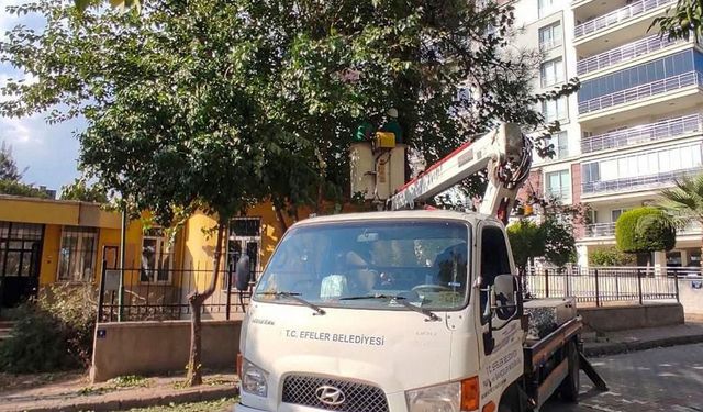 Efeler'in yeşil alanlarına özel dokunuş