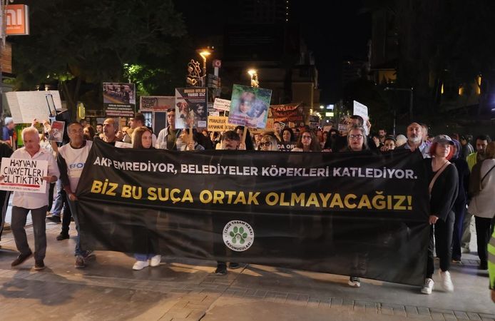 'İktidarın ortağı olup bizi tek biraktınız'