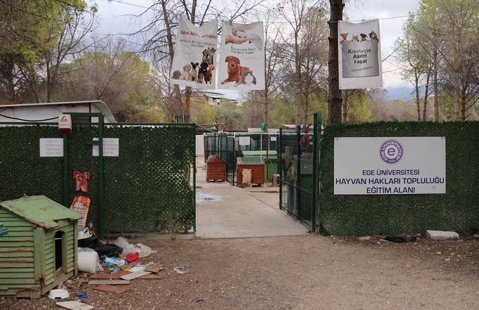 'Yurt' iddiasıyla 160 köpek barınaktan alındı!