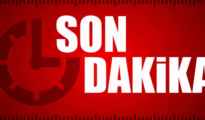 Ahmet Özer davasında Mahkeme kayyumun iptali için AYM'ye başvurdu