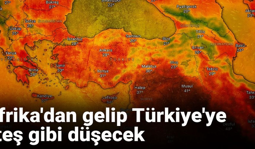 Afrika'dan gelip Türkiye'ye ateş gibi düşecek