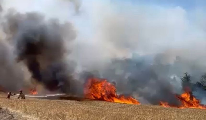 Çanakkale’de tarım arazisinde yangın çıktı
