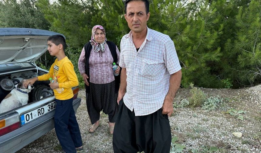 Kozan’daki orman yangını: Kimi hayvanları için, kimi de canlı yayın için hayatını tehlikeye attı
