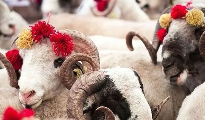 Kurban Bayramı mesajları 2025 | Dualı, duygusal bayram kutlama mesajları