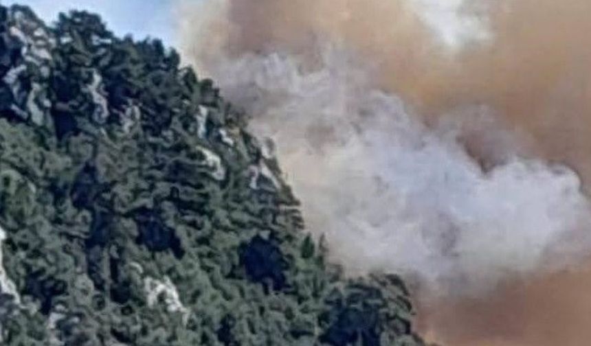Mersin Bozyazı’da orman yangınına ekipler müdahale ediyor
