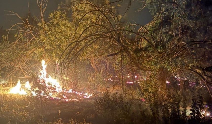 Mersin’de üç noktada çıkan yangın kontrol altına alındı