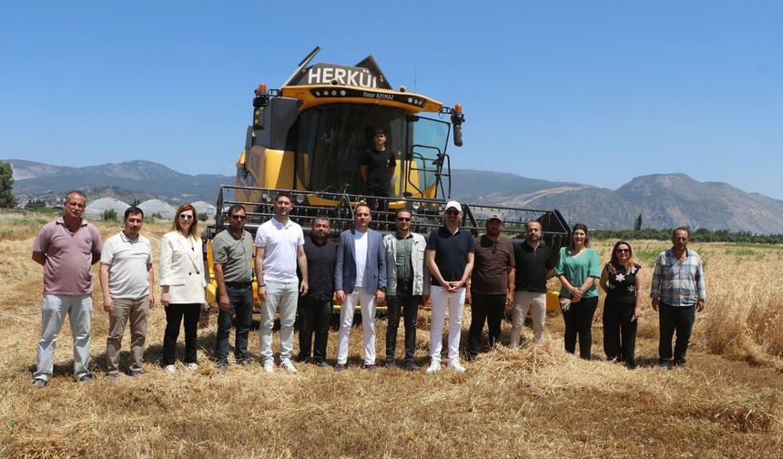 Söke Belediyesi’nde yeni sezonun Buğday hasadı