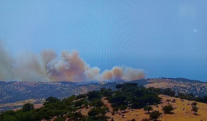 Ayvacık’ta başlayan orman yanınına müdahale ediliyor