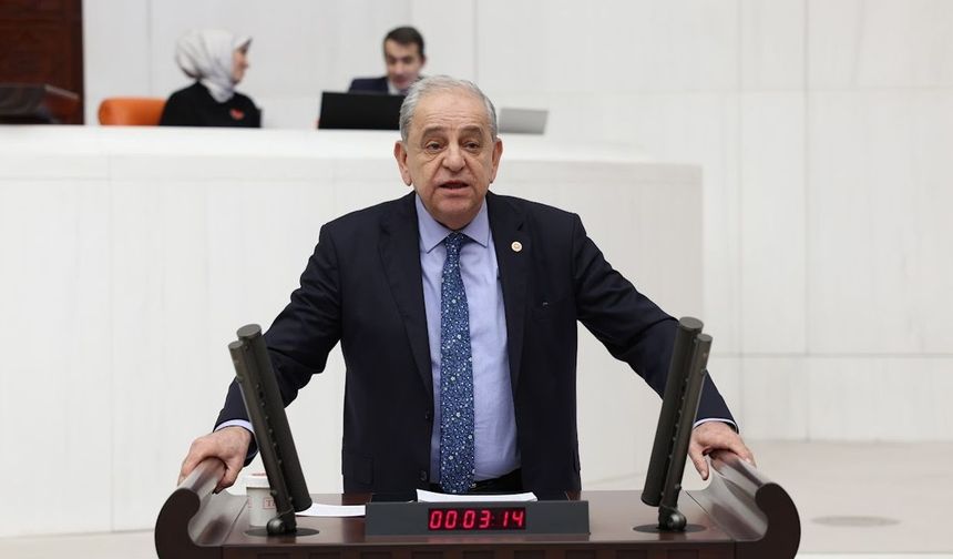 CHP'li Nalbantoğlu: Somut bulgu olması için ormanların tamamının yanması mı gerek?