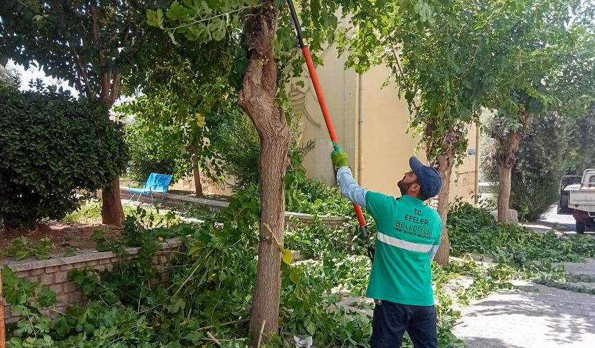 Efeler'de yaz temizliği devam ediyor