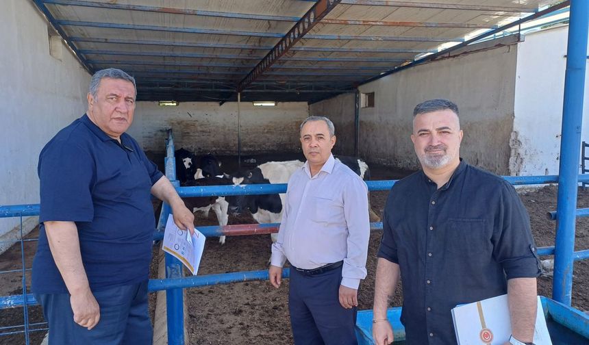 Et krizi ithalatla besleniyor! CHP'li Gürer: "Et ve süt sorunu da bu kafayla bitmez"
