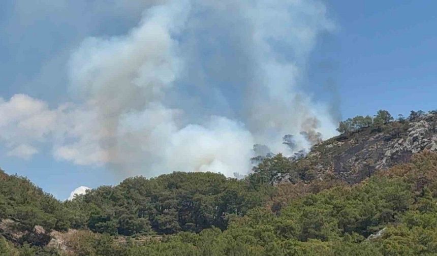 Gazipaşa’da ormanlık alanda yangın