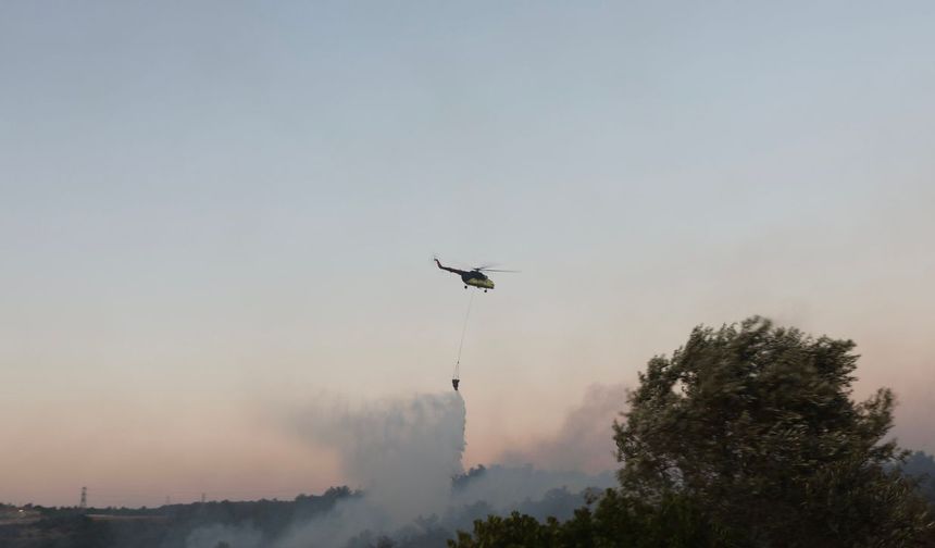 İzmir'de otluk ve ormanlık alanda yangın: Urla'da müdahale sürüyor