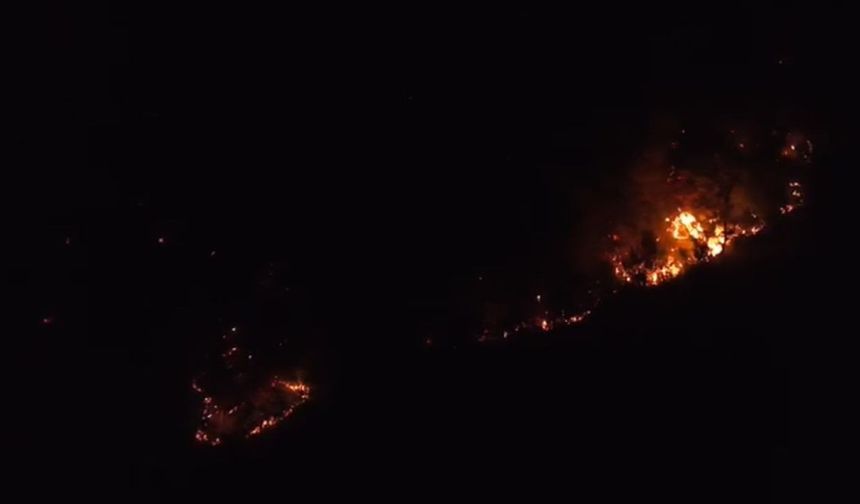 Kozan’daki yangın kontrol altına alındı: 2’si ev 3 yapı zarar gördü
