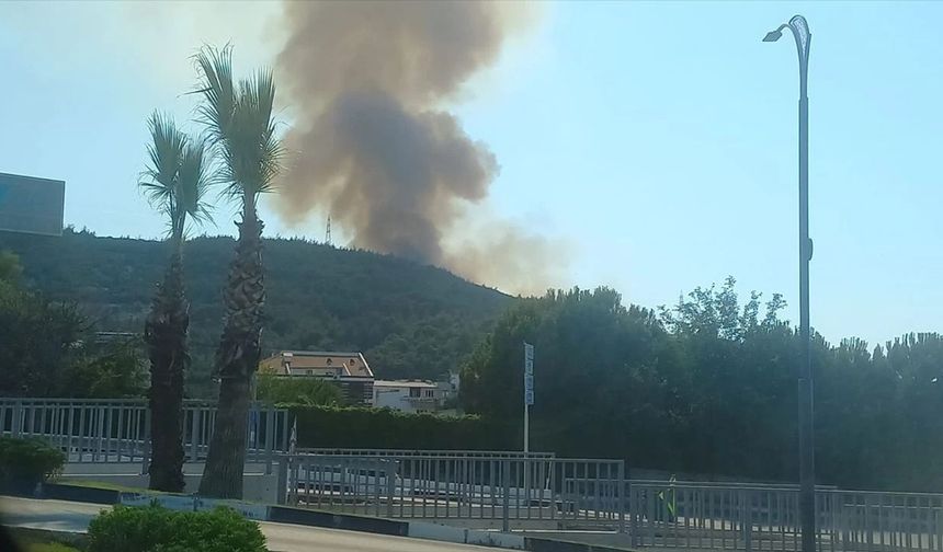 Manisa'da orman yangını! Ekipler seferber oldu