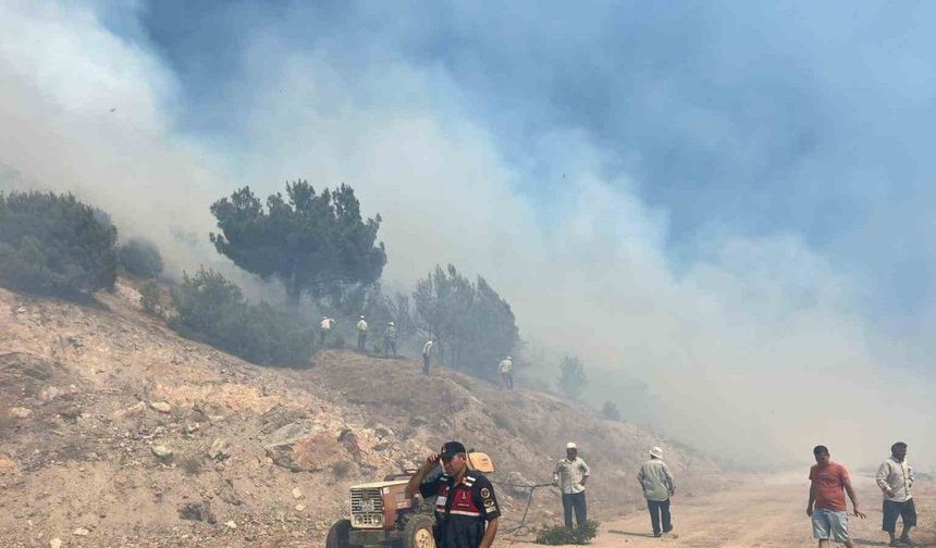 Manisa’daki orman yangını kontrol altına alındı