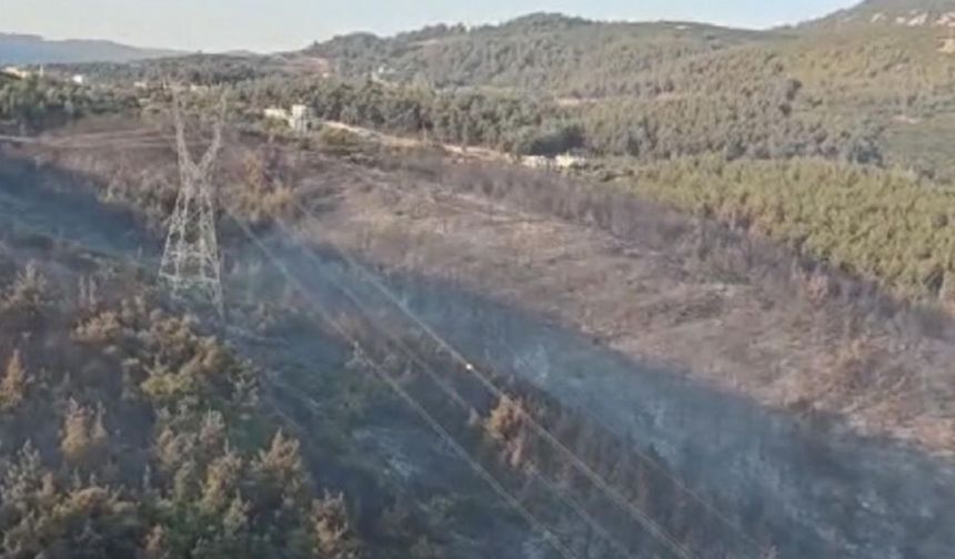 Manisa'daki yangın 2'nci gününde: Müdahale sürüyor