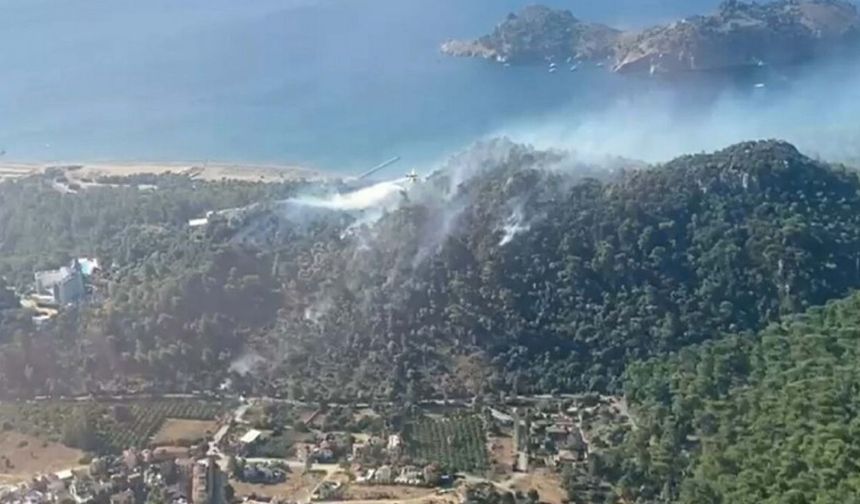 Muğla'da orman yangını!