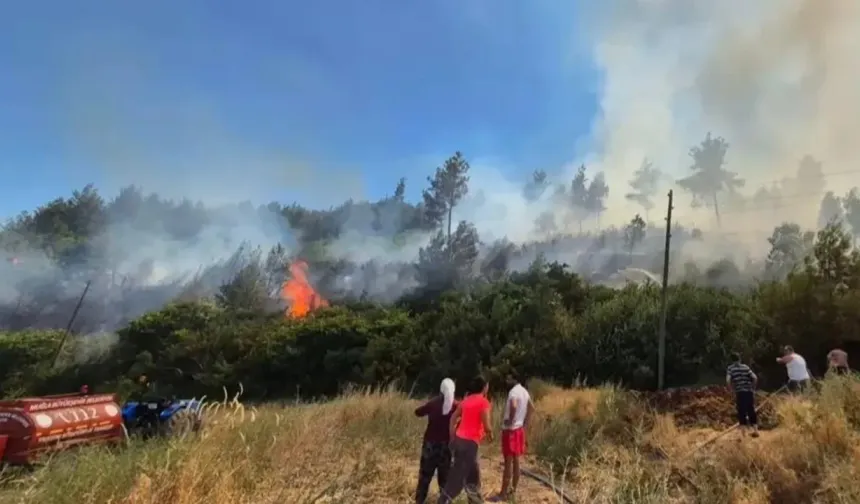 Muğla'nın yangın tankerleri aktif görevde