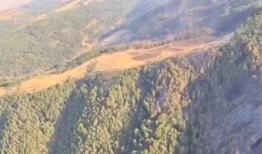 Uşak ve Bilecik’te yangınlar kontrol altında...
