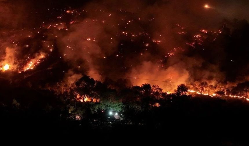 Çanakkale’de 8 bin hektar orman kül oldu