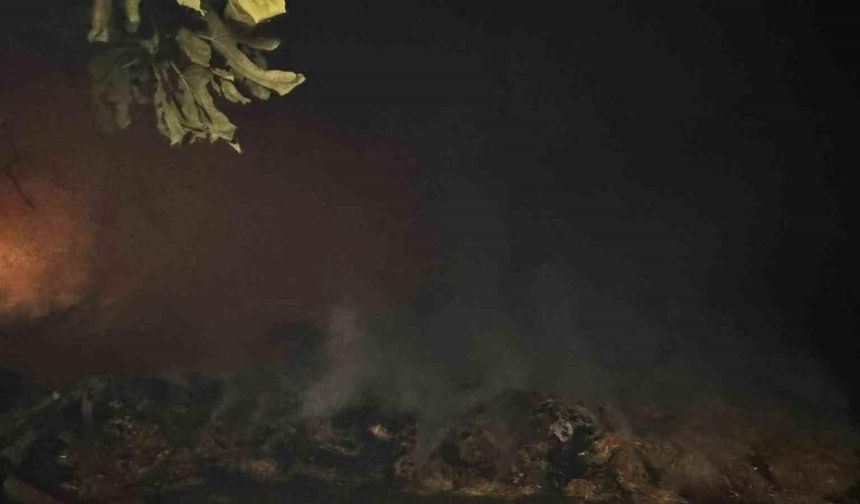 Alevlerin arasında kalan mahalle boşaltılıyor
