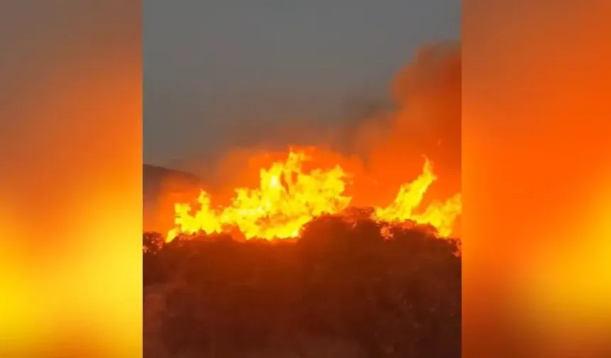 Balıkesir Dursunbey’de Orman Yangını