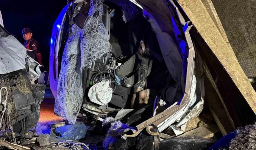 İki kamyonet çarpıştı: 2 ölü, 1 yaralı