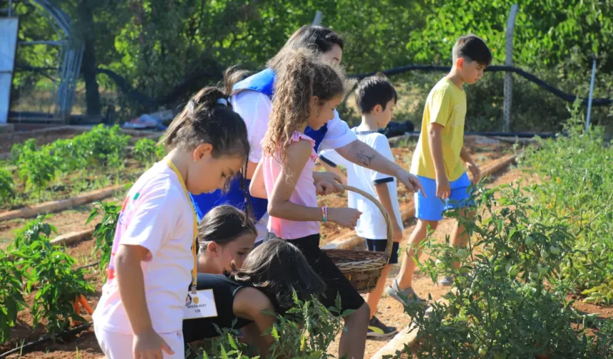 Muğla’da minik eller hasat sevinci yaşadı