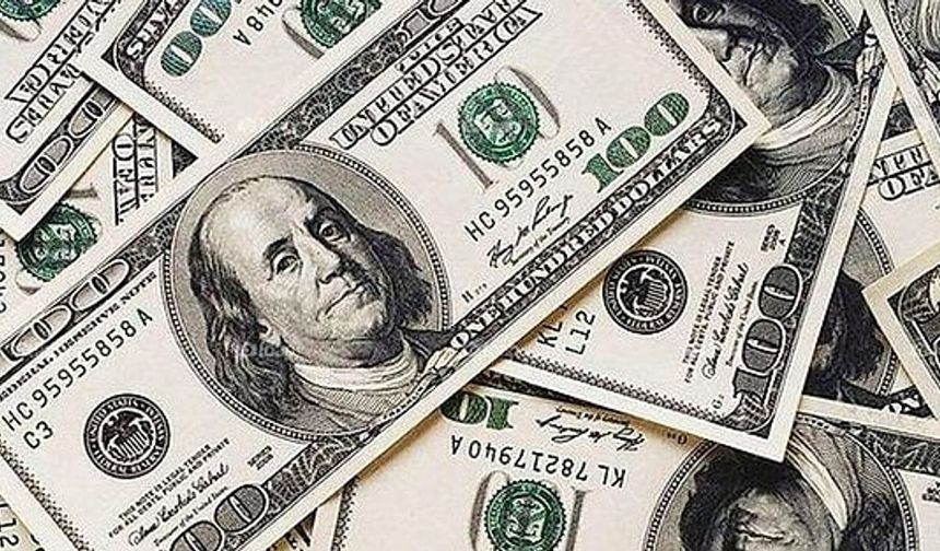 Dolar 42 lirada durdu, düşüşe geçti