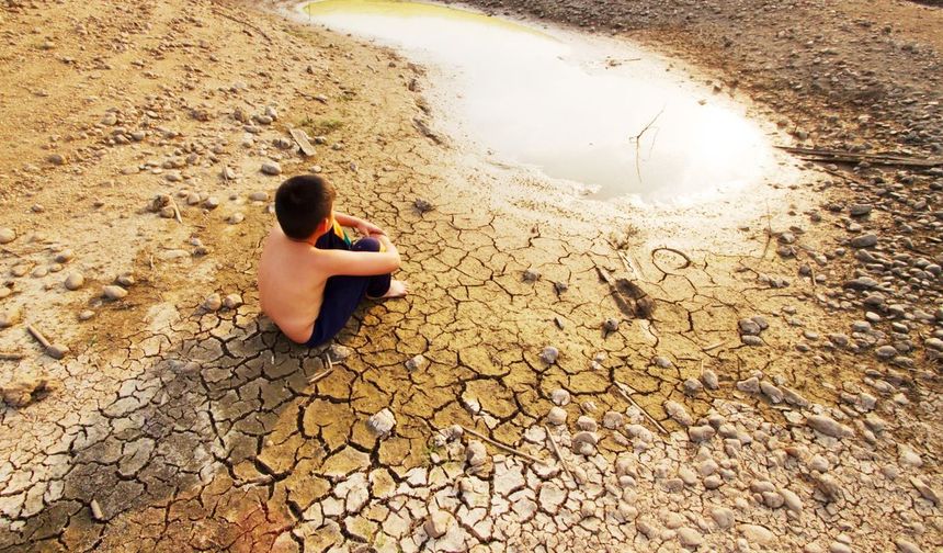 Ülkemizi bekleyen tehlike: Tarladan sofraya kadar gıda krizi