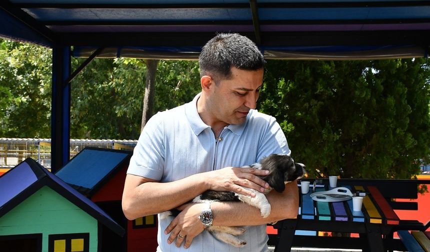 Kuşadası'nda can dostlar emin ellerde