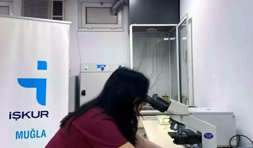 Muğla'da 13 bin 698 kadın sahibi oldu